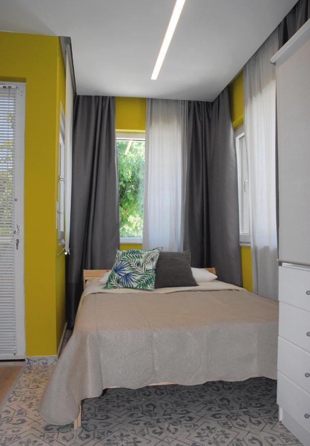 Modern House With Garden And Bathroom Tv In Front Of The Venetial Walls Appartement *